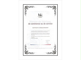 佩琪-电子商务服务证书